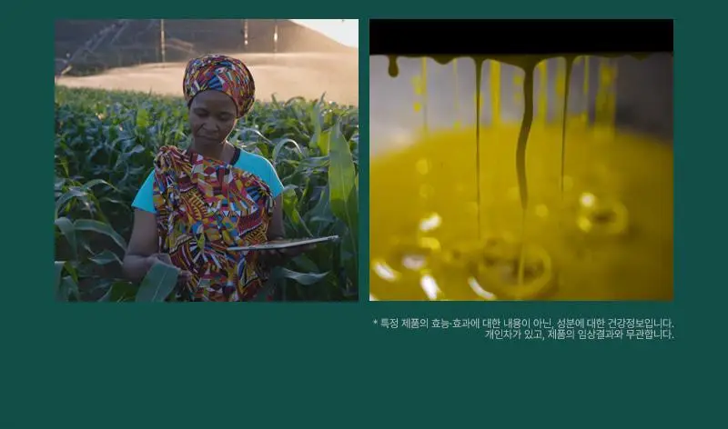 [5초만에 즉각적 블랙헤드/피지개선] 피캄 언더포어 홀리바질 클렌징오일190ml 상세페이지 12